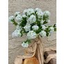 10. Viburnum biela 3.jpeg