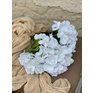 2. Hortenzia kytica latex biela 2.jpeg